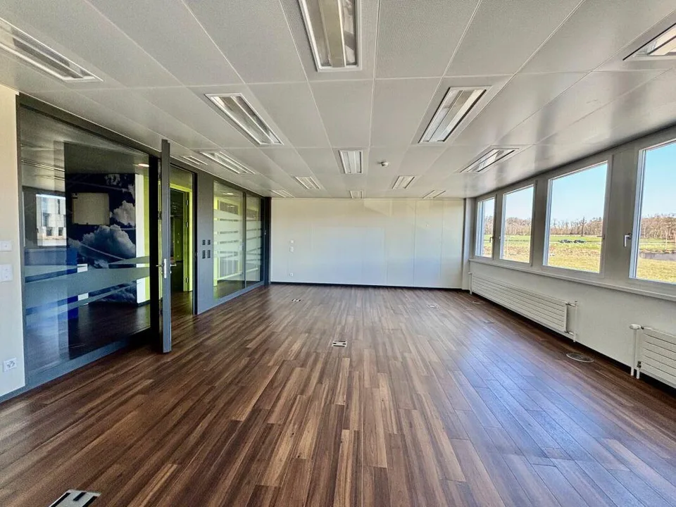 Superbe surface de bureau 1500 m2 divisibles dans très bel environn...