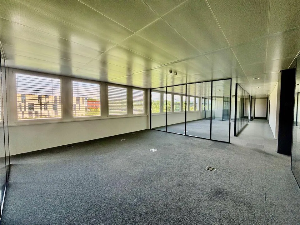 Superbe surface de bureau de 350 à 1500 m2 dans très bel environnem...