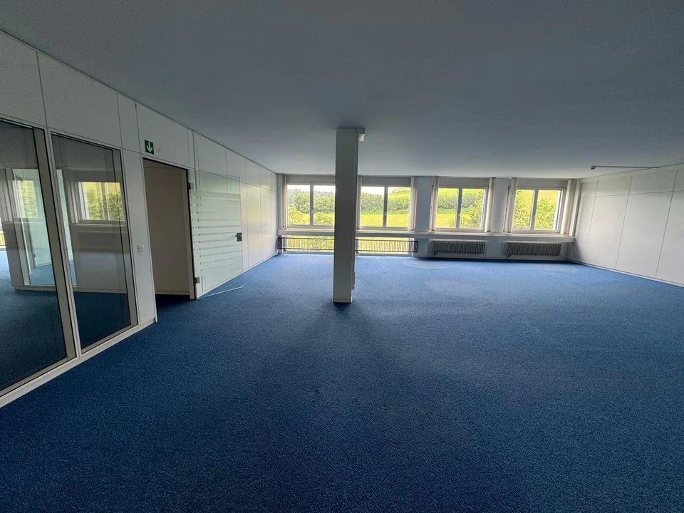 Grosszügige Büro- und Gewerbefläche in Sempach-Station zu vermieten – foto 6 di 13