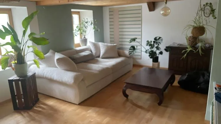 2½ ZI-WOHNUNG IN SPIEZ (BE), MÖBLIERT, TEMPORÄR