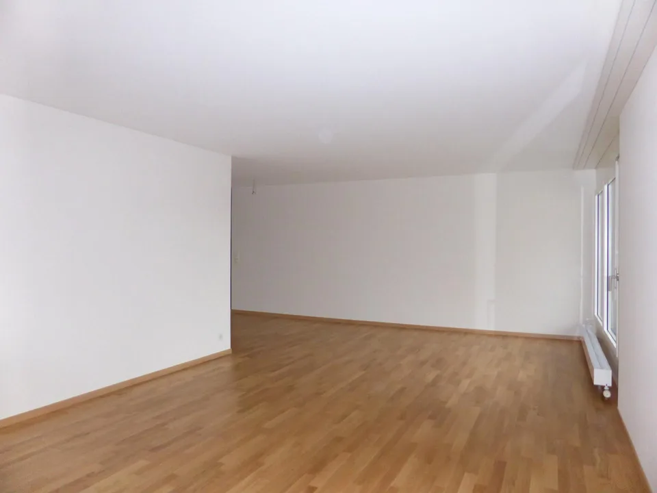 Grosszügige Wohnung an ruhiger Lage im Schöngrund - Olten