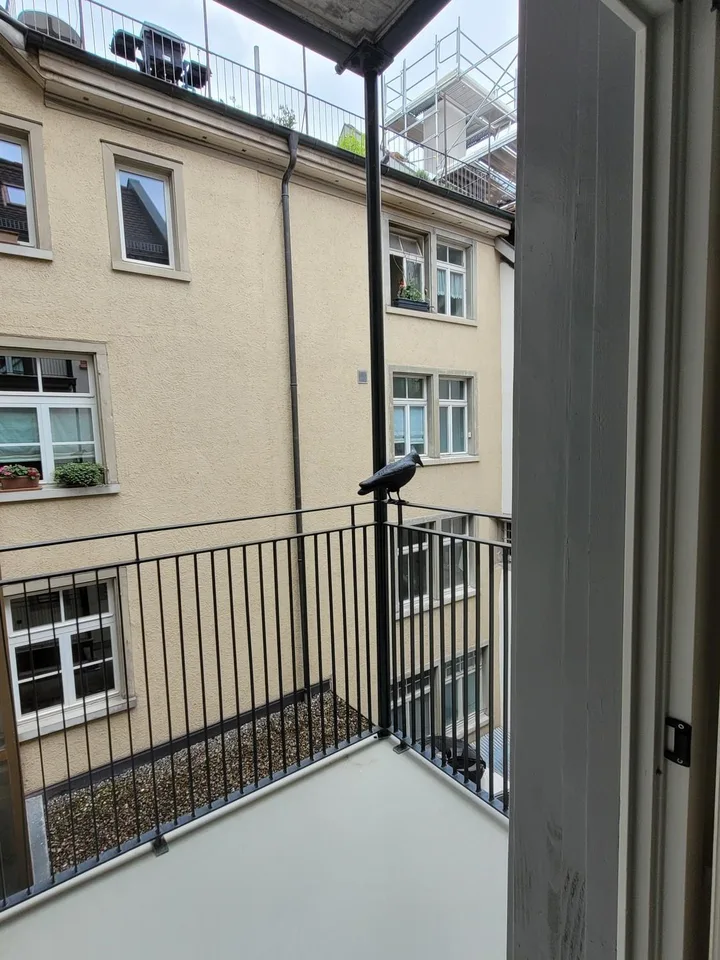 Suchen Sie gediegene Räumlichkeiten im Zentrum der Innenstadt?