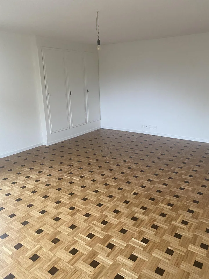 Renovierte 1.5 Zimmer Wohnung mit grosser Küche