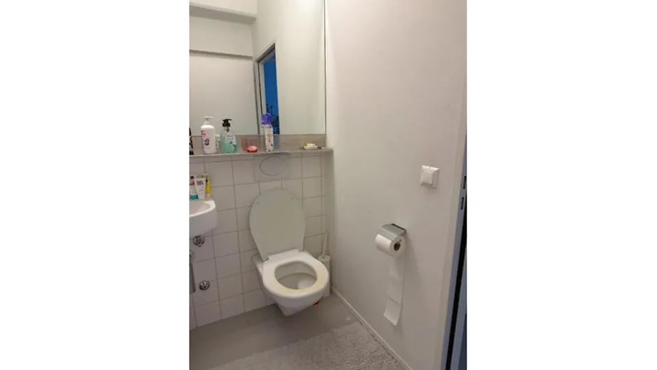 LOFT MIT 138 M²! IN ZURICH (ZH), MÖBLIERT, TEMPORÄR – Foto 14 von 16