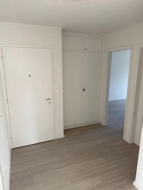 Grosszügige und frisch renovierte 4 Zimmerwohnung