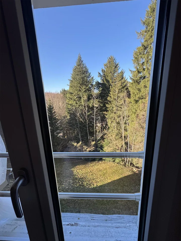 Charmante, frisch renovierte Wohnung im Grünen – foto 8 di 16