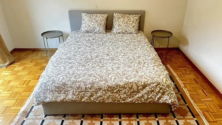 3½ ZI-WOHNUNG IN PREGASSONA (TI), MÖBLIERT – Foto 16 von 19