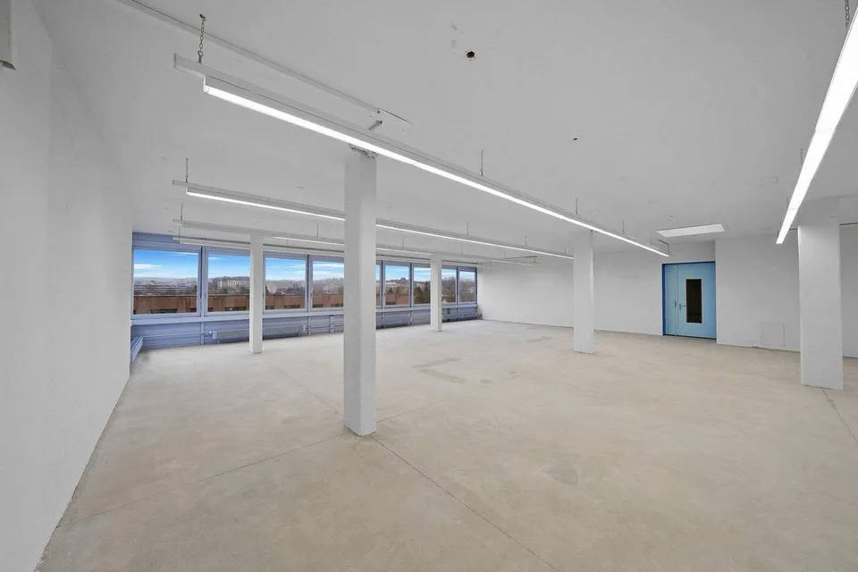 "Praktische Gewerbefläche mit 1'000 kg/m² Bodenlast - Aussicht inkl.!"