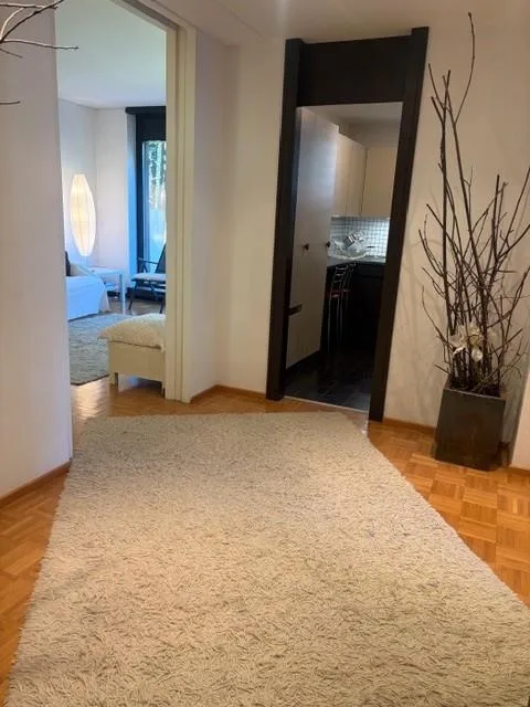 Affitto a breve 3.5 locali completamente arredato   - Lugano centro