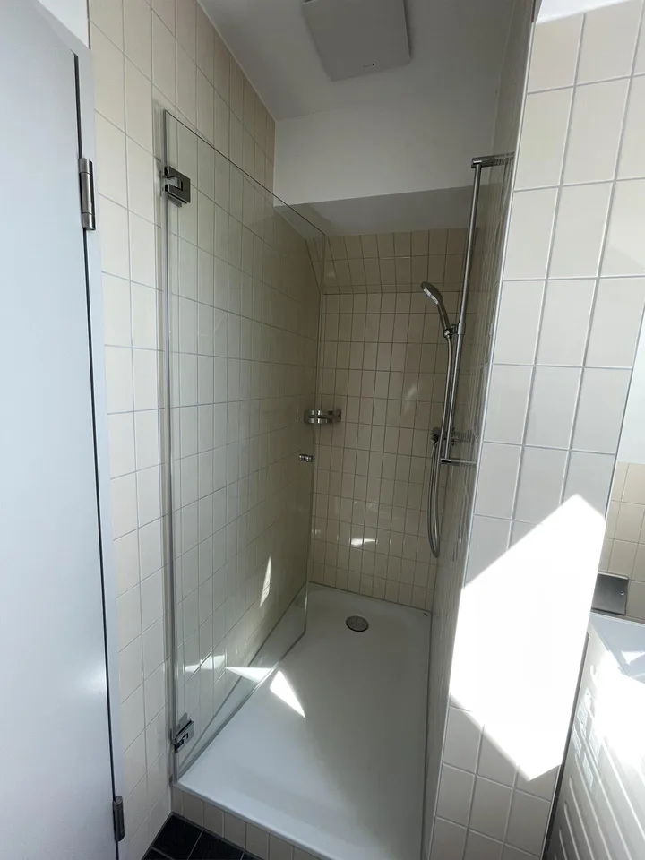 Neue 2.5-Zimmer-Dachwohnung mit freie Blick auf die Alpen – photo 8 of 8