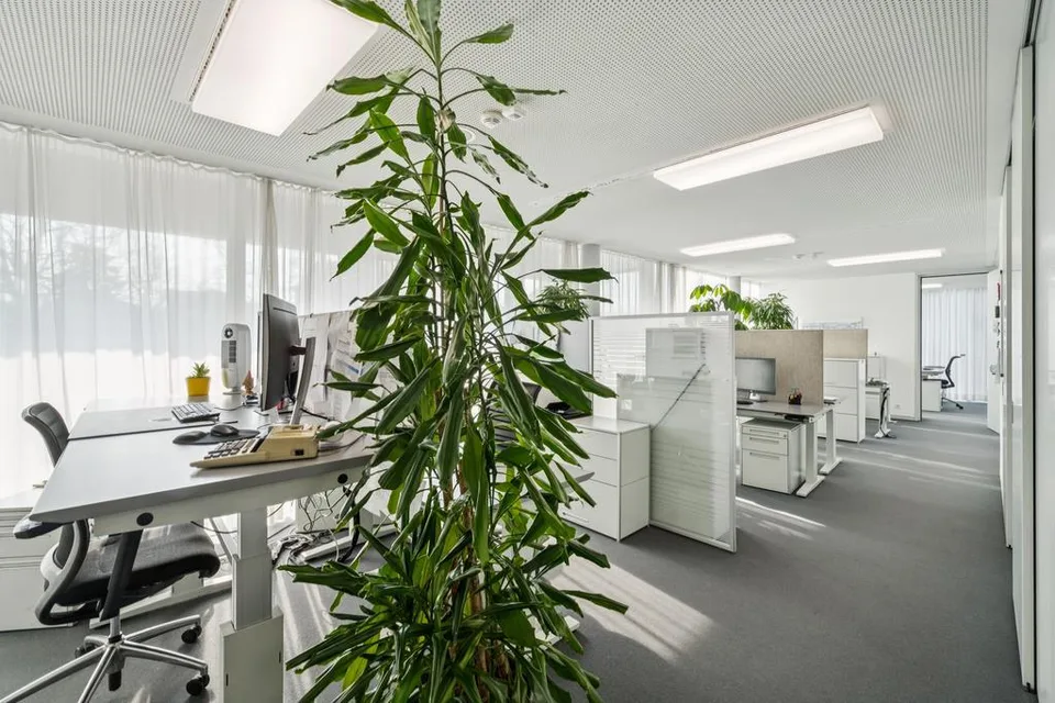 Top ausgebaute Büros an zentralster Lage