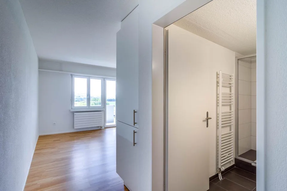 1 Zimmer-Wohnung