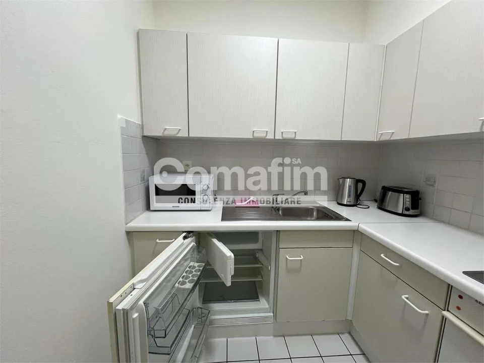 Appartamento ammobiliato 1.5 locali a Lugano – foto 13 di 13