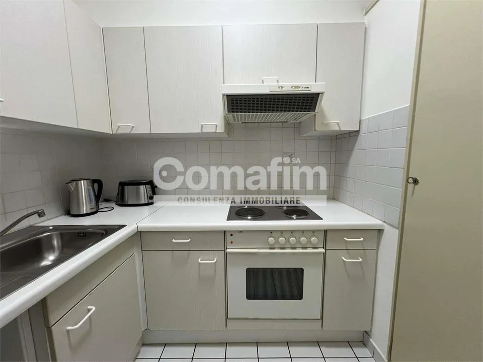 Appartamento ammobiliato 1.5 locali a Lugano – foto 12 di 13