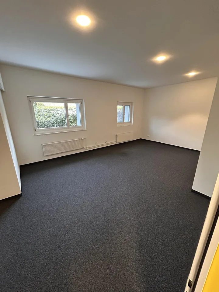 Bürogebäude, Goldau