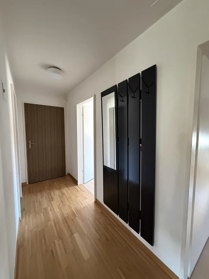 3 Zimmer Wohnung