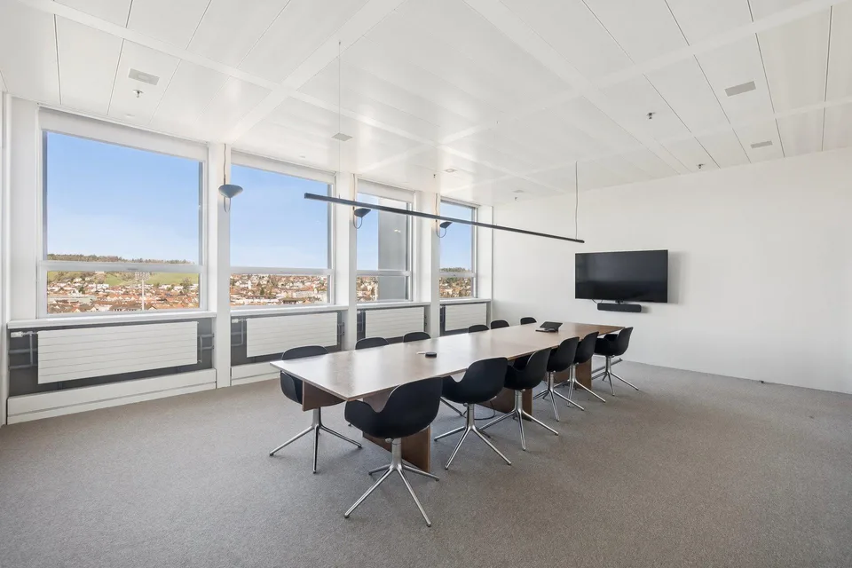 "Wintower" - Arbeiten über den Dächern von Winterthur – Foto 8 von 13