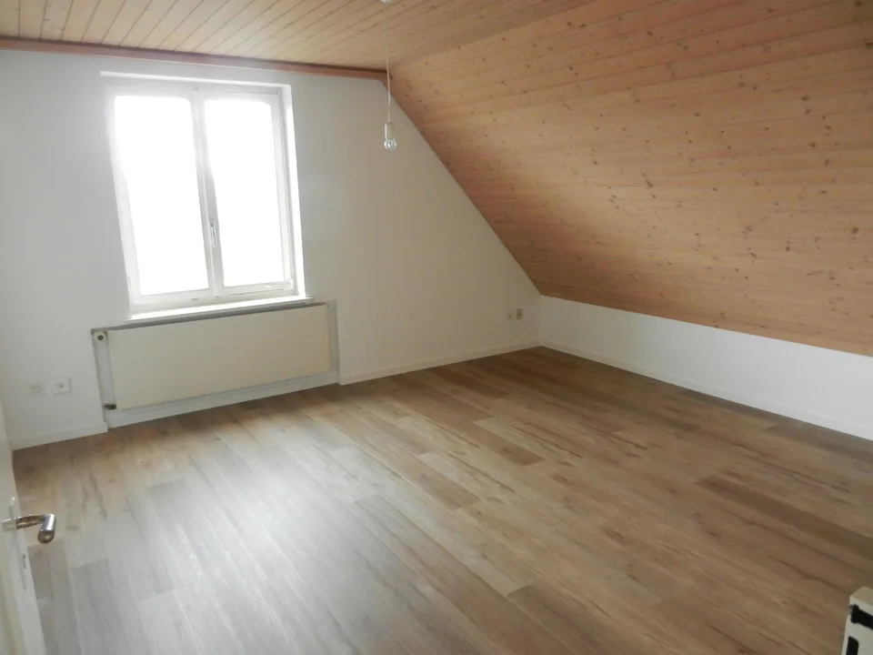 Stadtnahe Dachwohnung im Grünen
