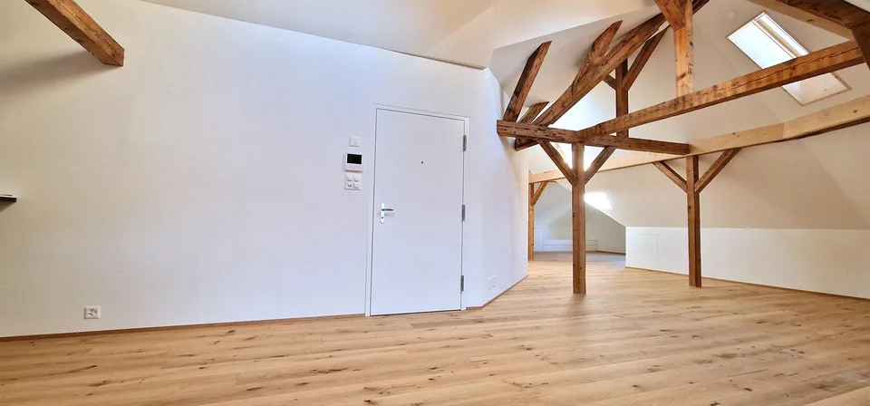 Exklusive 1,5 Zimmer Loft-Dachwohnung
