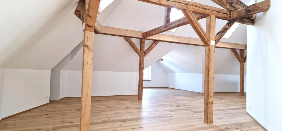 Exklusive 1,5 Zimmer Loft-Dachwohnung