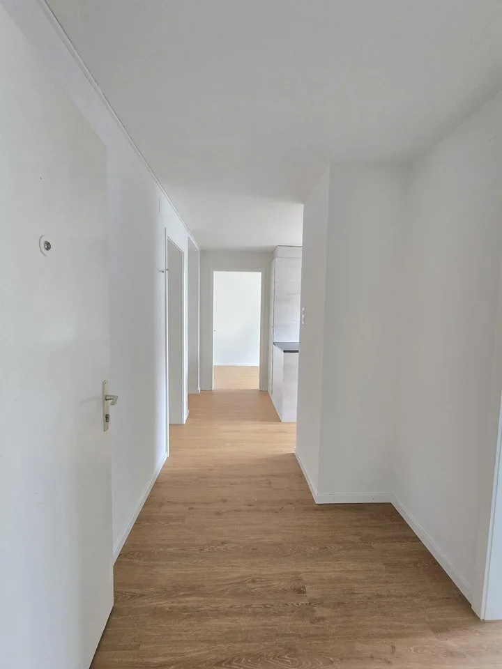 Frisch Sanierte 4.0 Zimmer-Wohnung