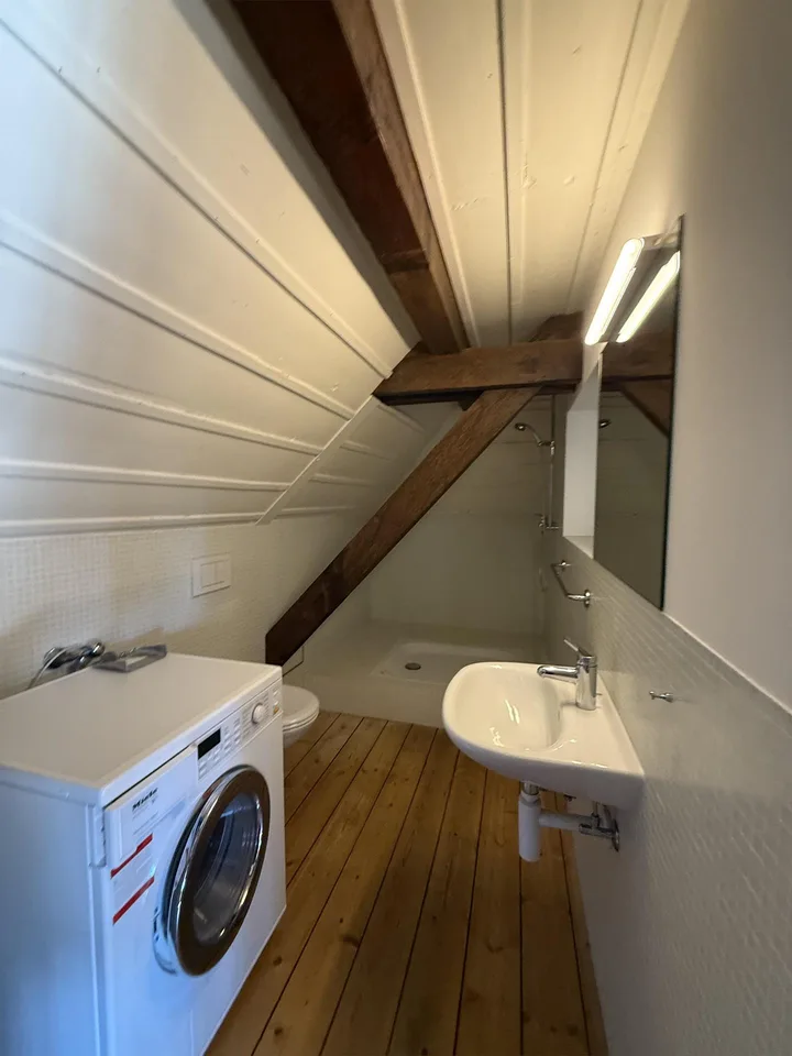 Charmante 1‑Zimmer‑Dachwohnung in Arlesheim