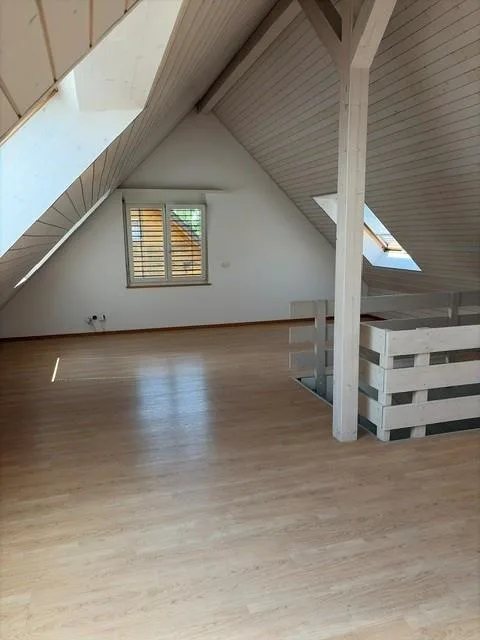 Schöne Duplex-Wohnung mit Blick ins Grüne