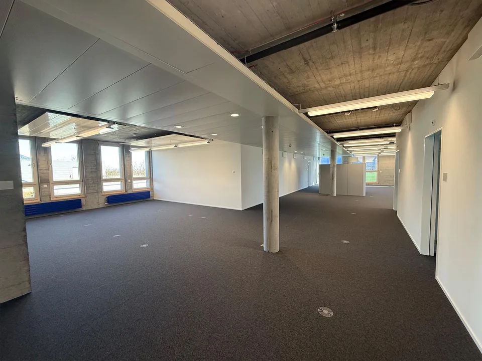 Attraktive Bürofläche (380 m2)