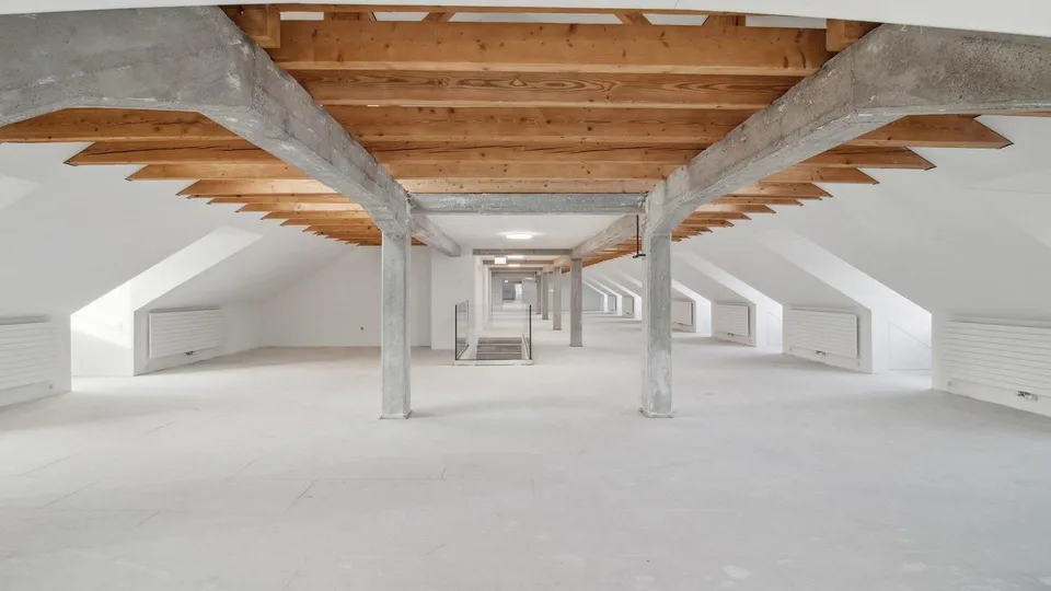 Loft-Atmosphäre über den Dächern von Zürich
