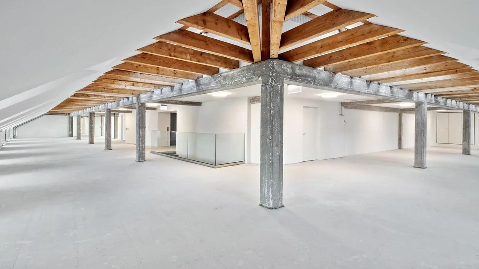 Loft-Atmosphäre über den Dächern von Zürich – photo 6 sur 9