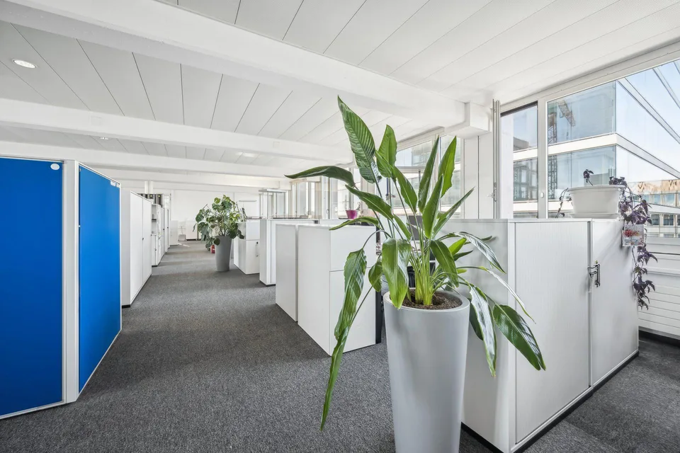 3 Monate Mietzinsfrei für ausgebaute Bürofläche mit flexibler Raums... – Foto 7 von 11
