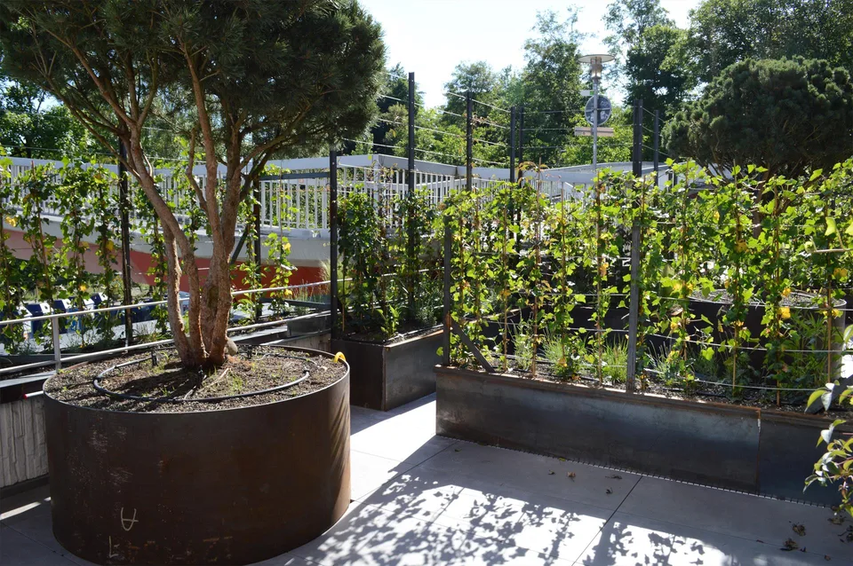 Gekühlte moderne 1.5-Zimmer-Gartenwohnung mit Terrasse