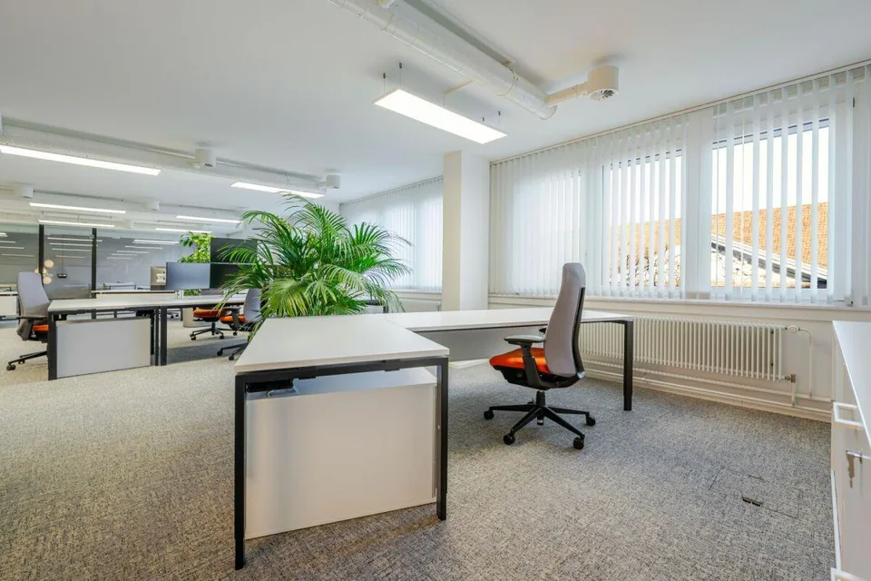 Repräsentatives Büro | Arbeiten am Hallwilerweg