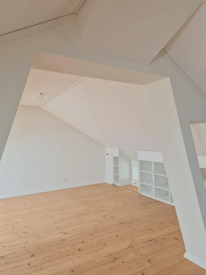 grosse 110m2 Loft-Wohnung in ehemaliger Schreinerei