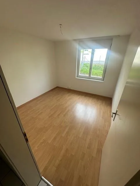 4 1/2 Zimmer-Wohnung EG Süd