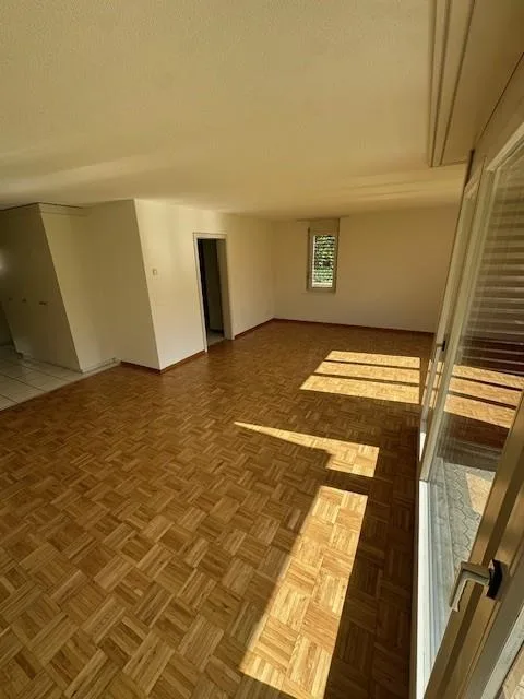 4 1/2 Zimmer-Wohnung EG Süd