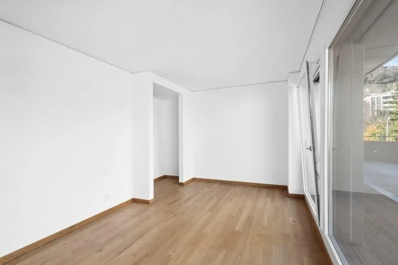 Generoso appartamento di 2.5 locali con terrazzo a Paradiso