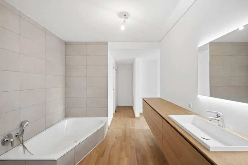 Generoso appartamento di 2.5 locali con terrazzo a Paradiso