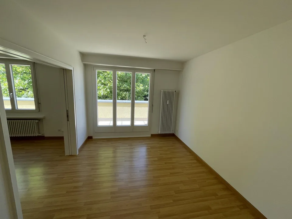 3 1/2 Z'-Attika-Wohnung im DG mit grosser Terrasse