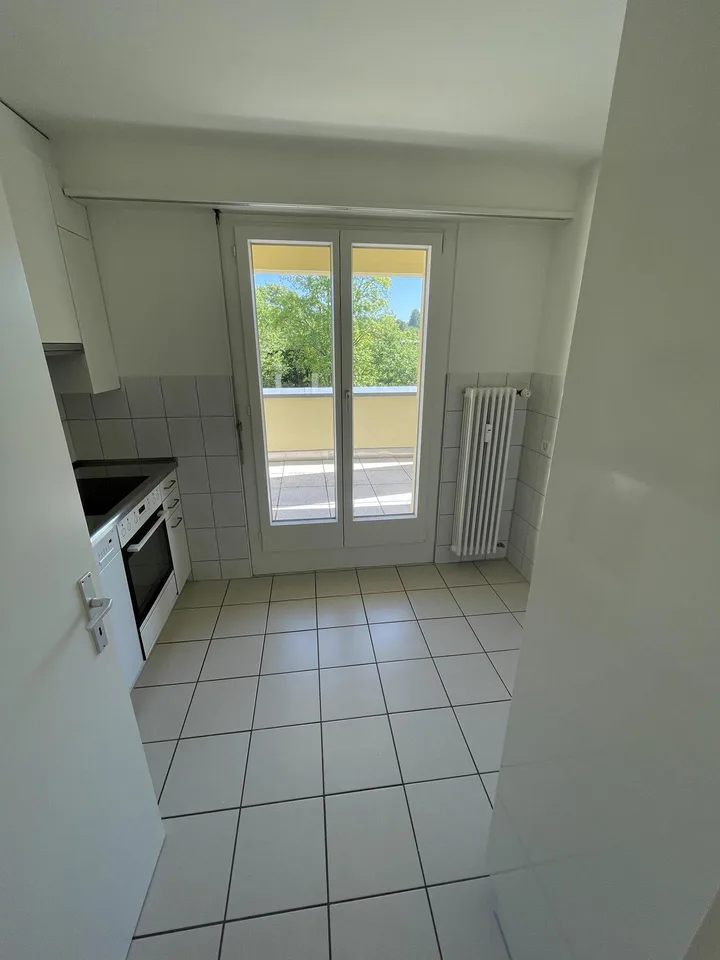 3 1/2 Z'-Attika-Wohnung im DG mit grosser Terrasse