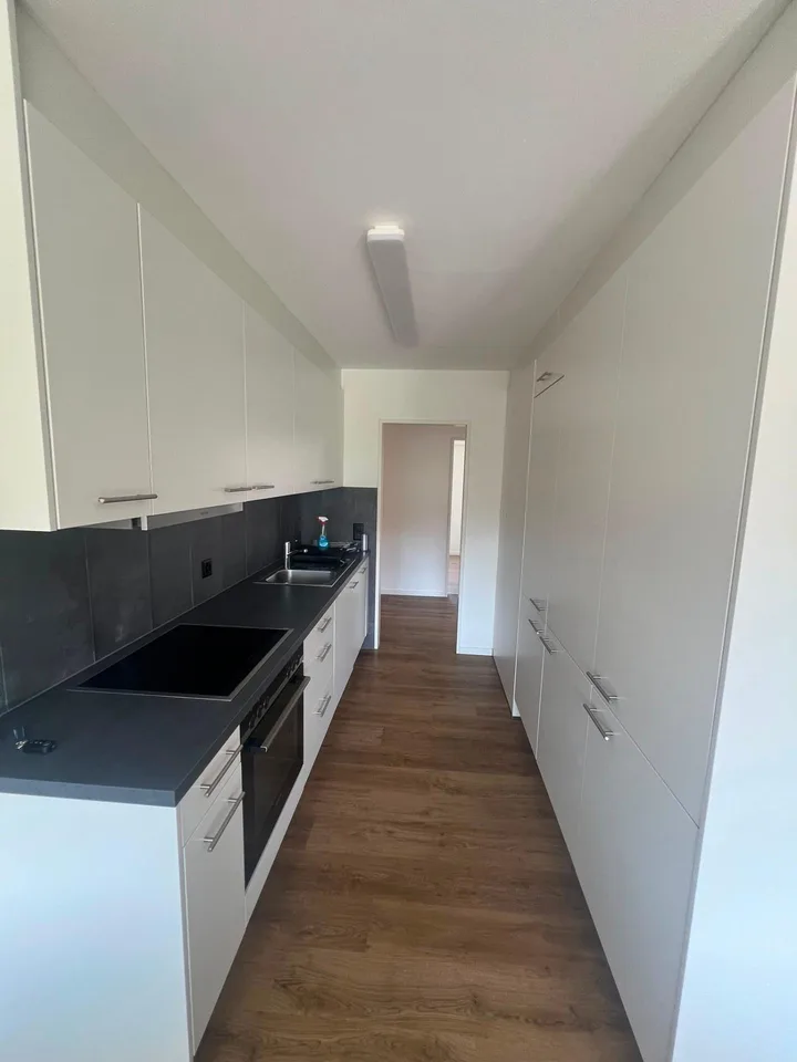 Renovierte 4.5-Zimmerwohnung - Höhenstrasse 3, 8344 Bäretswil
