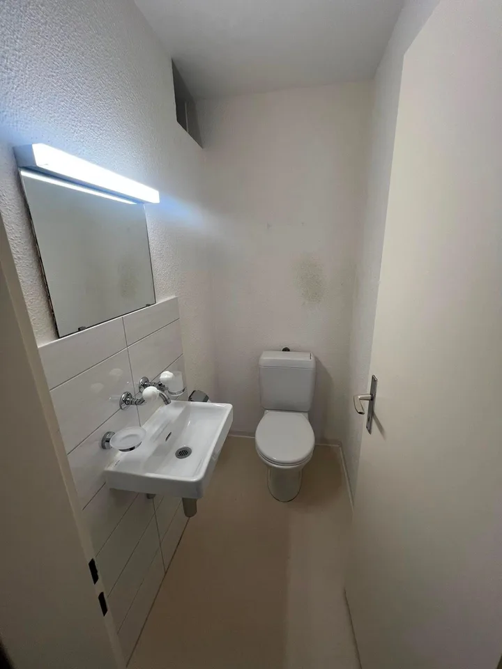 Renovierte 4.5-Zimmerwohnung - Höhenstrasse 3, 8344 Bäretswil