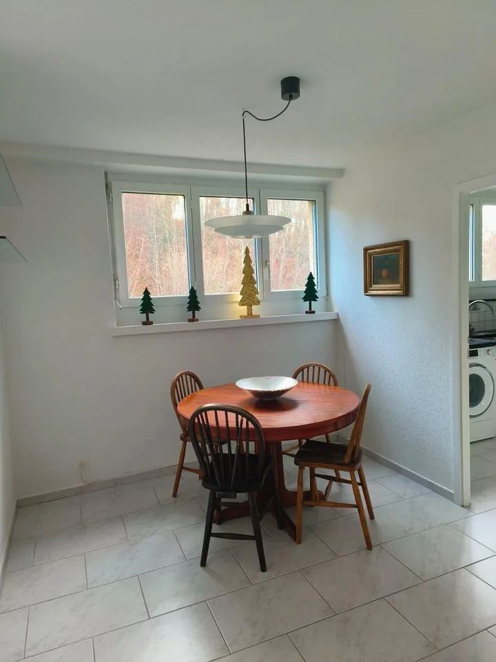 3.5-Zimmer-Dachwohnung – energetisch umfassend saniert