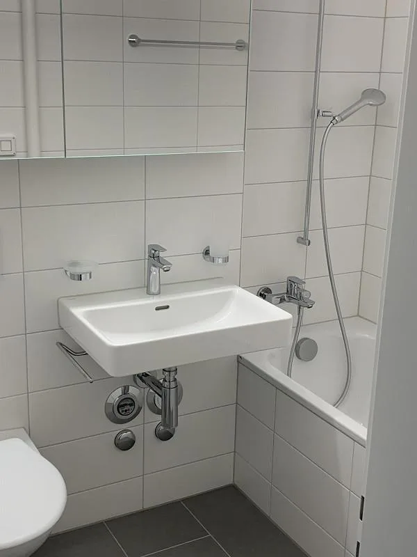 Neu sanierte 3.5 Zimmerwohnung im St. Johann-Quartier – Foto 7 von 10