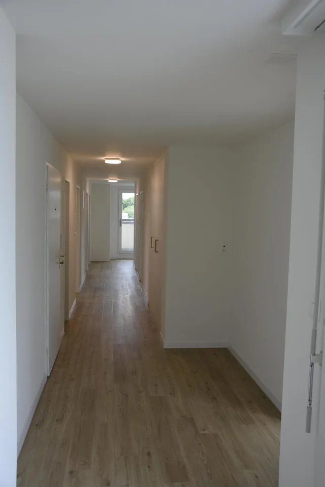 5.5-Zimmer Attikawohnung