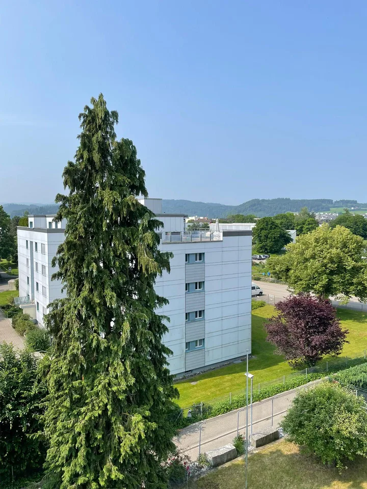 5.5-Zimmer Attikawohnung