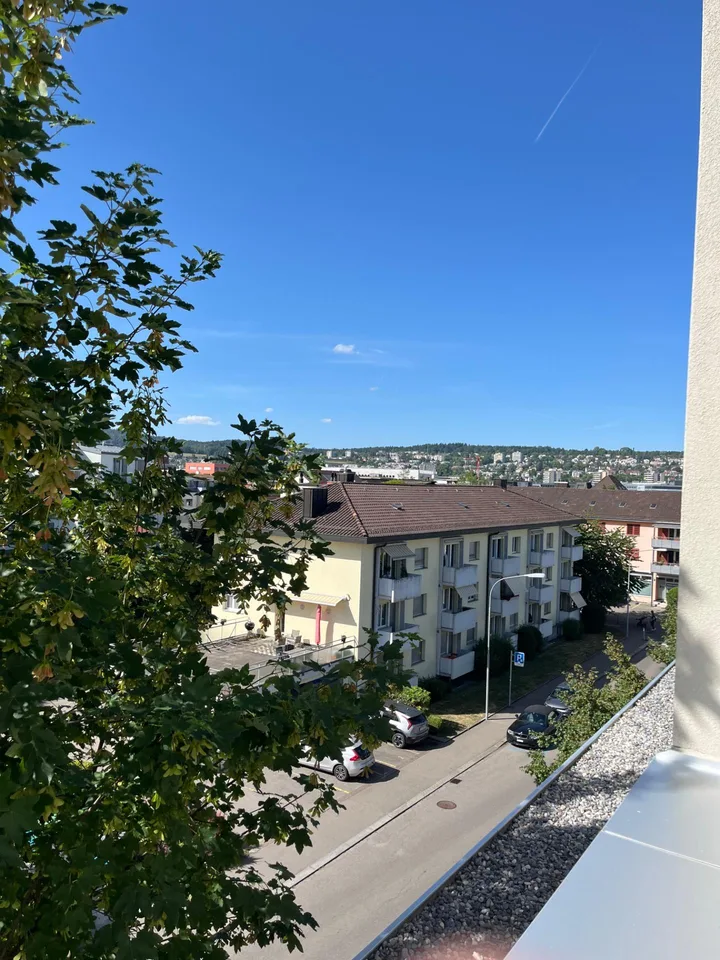ERSTVERMIETUNG 4.5- Zimmer-Attika-Wohnung, 8048 Zürich zu vermieten