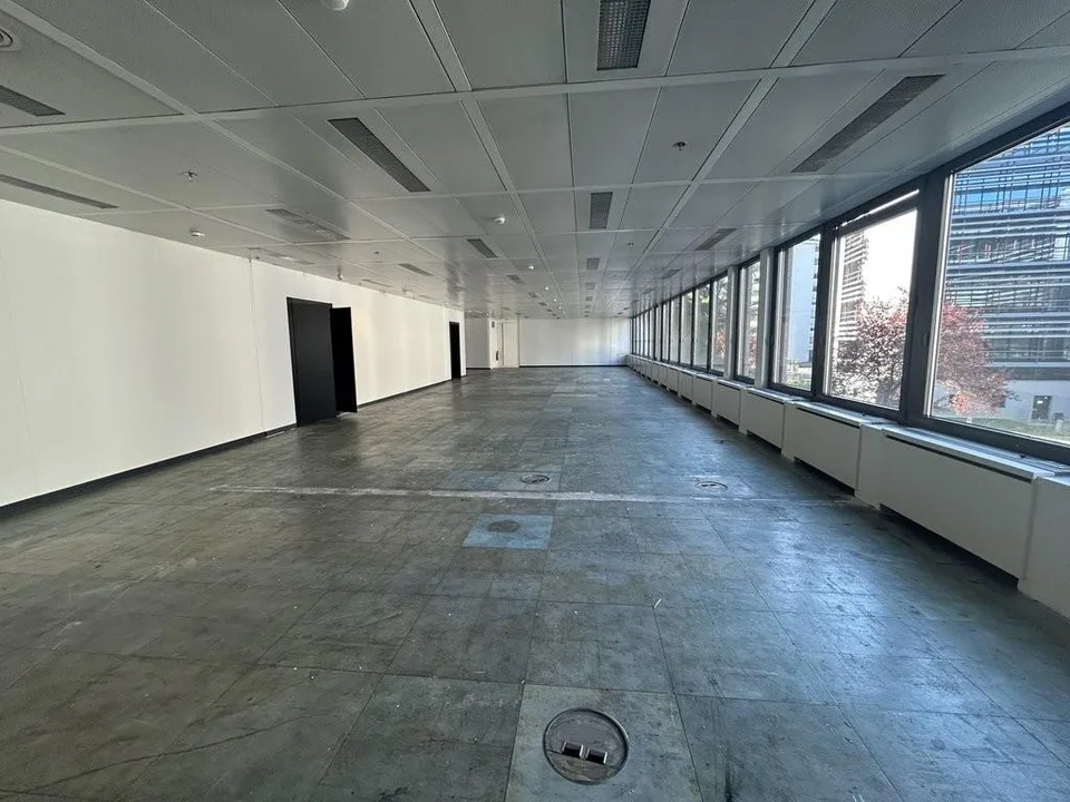 Bureau 277 m 2 - Avenue des Morgines 12, Petit-Lancy