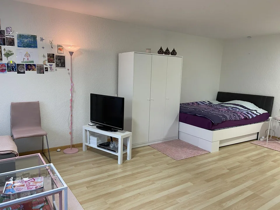 1.5 Zimmer Wohnung im Osten von St. Gallen