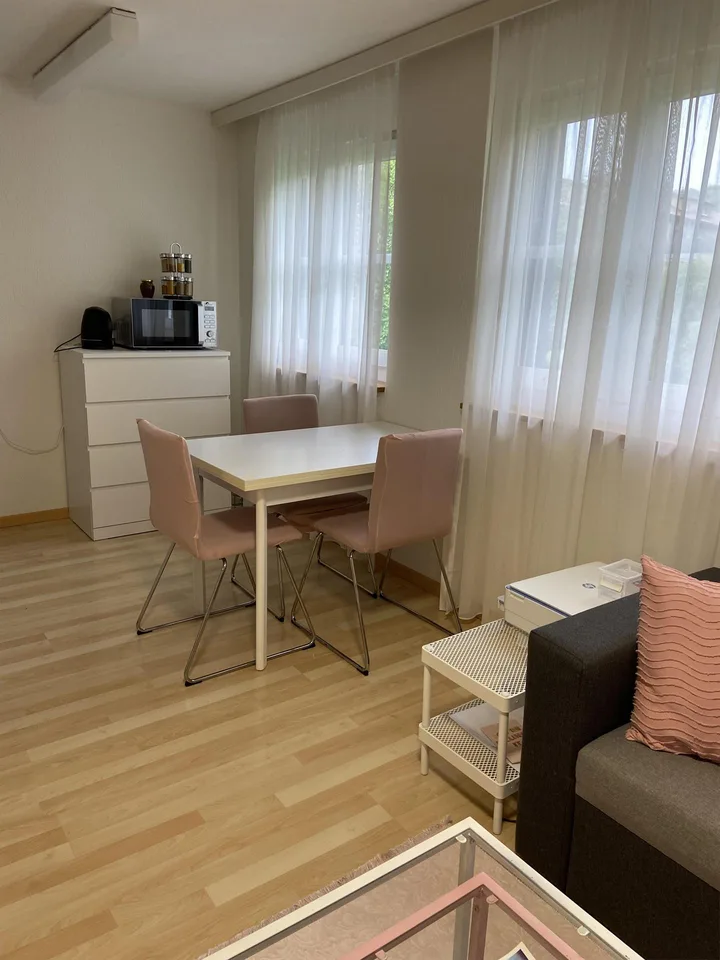 1.5 Zimmer Wohnung im Osten von St. Gallen